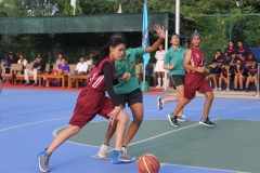 Basketball-Championship-1