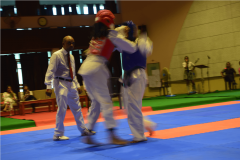 taekwando-girls-championship-3