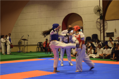 taekwando-girls-championship-4