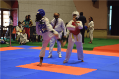 taekwando-girls-championship-5