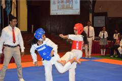 taekwando-girls-championship-8